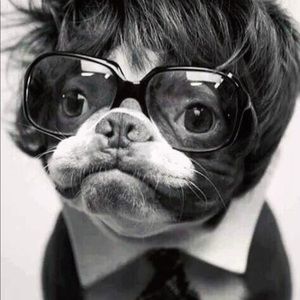 Meet your Posher, Veronica